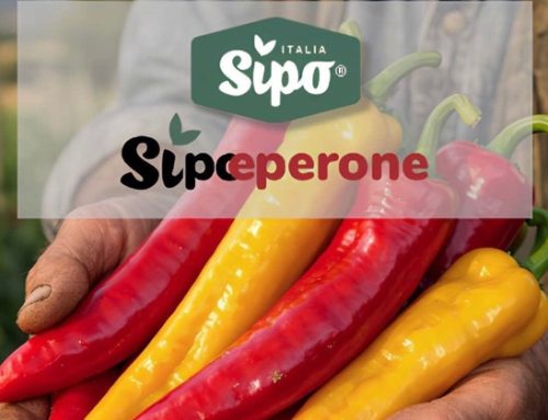 SIPO lancia la linea ‘SiPeperone’ e rafforza la segmentazione dell’offerta