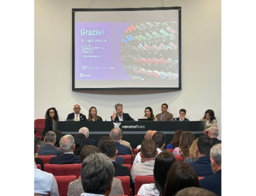 Vino in Gdo: il 2025 si chiude con un -0,5% a valore e un -2,7% a volume. La ricerca ‘Circana per Vinitaly’