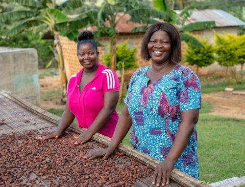 L’ecosistema Fairtrade aumenta di aziende partner e la filiera etica tiene