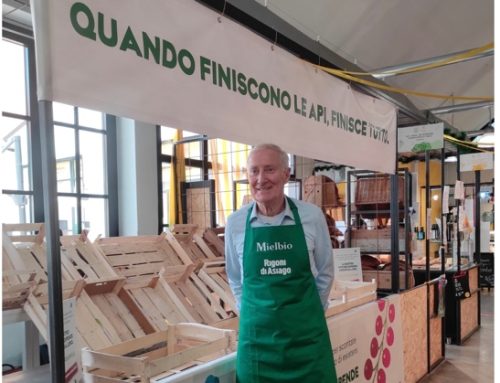 “Quando finiscono le api, finisce tutto”: Rigoni di Asiago lancia l’allarme davanti a un banco di frutta vuoto