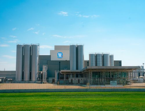 Igor Gorgonzola e Gruppo VanDrie hanno costituito una newco per la vendita di proteine premium da siero di latte
