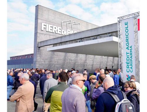 Fiere di Parma chiude il 2025 con ricavi record: obiettivo 65 milioni nel 2026