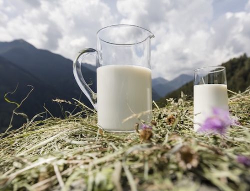 La Federazione Latterie Alto Adige ha registrato nel 2025 un fatturato di 747,8 milioni di euro