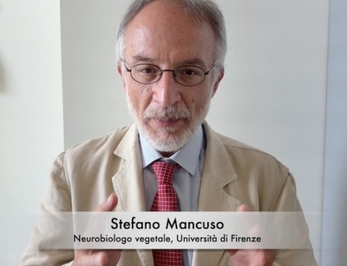 Stefano Mancuso, Università di Firenze: l’intelligenza artificiale senza la supervisione umana è una follia pericolosa. Vi spiego perché