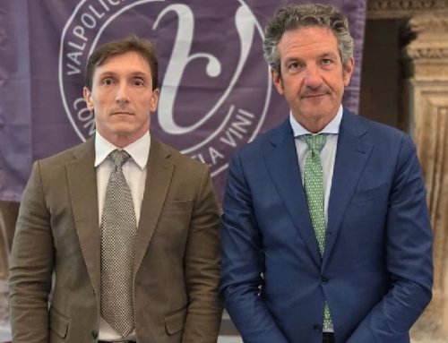 Consorzio Valpolicella: l’assemblea rinnova il Cda. Bilancio 2025 con utile di 296mila euro