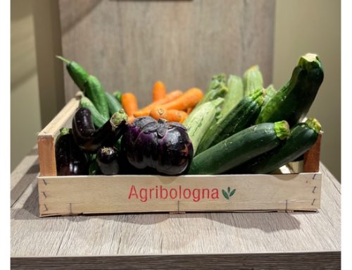 Ortaggi imperfetti nei menù di Camst Group: al via il progetto ‘Scelti perché buoni’