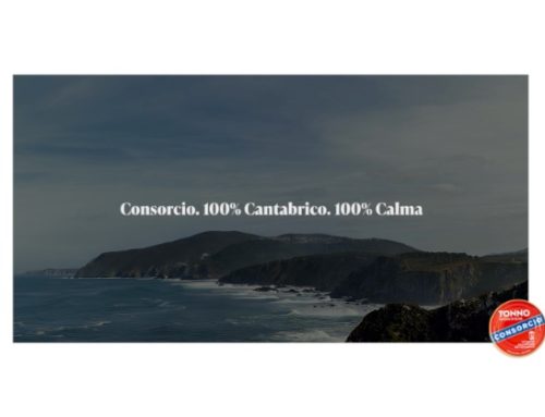 Grupo Consorcio rilancia il marchio con un nuovo claim e l’assistente virtuale Marina AI