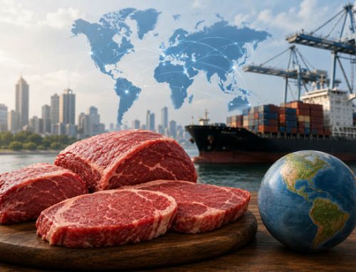Carni bovine, mercato mondiale in forte tensione. L’analisi di Rabobank