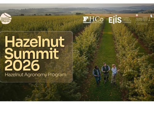 Nocciola italiana, Ferrero rinnova l’impegno sulla formazione tecnica con l’Hazelnut Agronomy Program