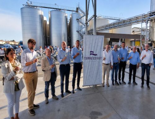 Terre Cevico celebra il Trebbiano con una grande festa ad Alfonsine