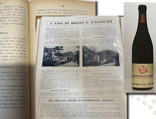 Oltrepò Pavese, il Consorzio presenta il progetto ‘Montenae’poleon per valorizzare i vini fermi