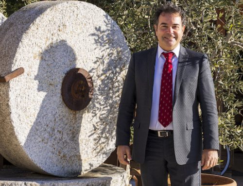 Olivicoltura / 2. Salvagno (Redoro): “L’Italia produce troppo poco rispetto alla domanda nazionale”