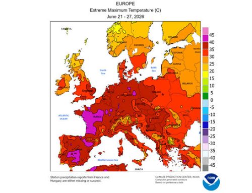 Ondate di calore e stress termico: calo produttivo e malessere animale. L’analisi di Clal.it