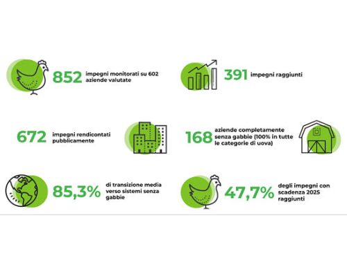 Report EggTrack 2025: prosegue la transizione verso le uova cage-free