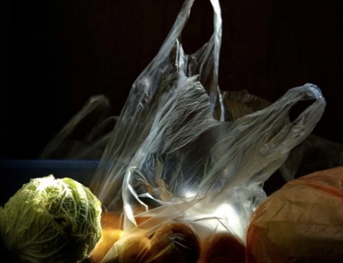 Assobioplastiche: il tasso di shopper non conformi scende al 23% nel 2025